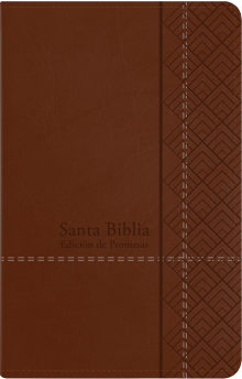 Santa Biblia de Promesas RVR-1960, Tamaño Manual / Letra grande, Piel especial con índice, Café 