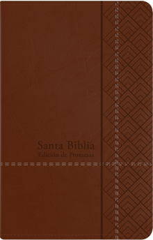 Santa Biblia de Promesas RVR-1960, Tamaño Manual / Letra grande, Piel especial con cierre, Café