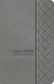 Santa Biblia de Promesas RVR-1960, Tamaño Manual / Letra Grande, Piel especial con índice y cierre, Gris