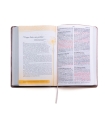 Santa Biblia de Promesas RVR-1960 «Inspira», Letra Gigante, Piel especial, Rosa dorado 