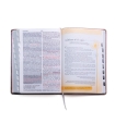 Santa Biblia de Promesas RVR-1960 «Inspira», Letra Gigante, Piel especial con índice, Rosa dorado