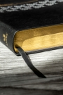 Santa Biblia de Promesas RVR-1960, Letra Gigante, Piel especial con índice, Negra 
