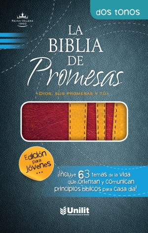 Santa Biblia de Promesas Reina-Valera 1960 / Edición jóvenes / Hombre / Piel Especial / Dos Tonos // Spanish Promise Bible RV60 / Youth Edition / Men / Leathersoft / Two Tones