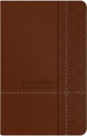 Santa Biblia de Promesas RVR-1960, Tamaño Manual / Letra Grande, Piel especial, Café