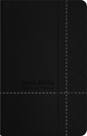 Santa Biblia de Promesas RVR-1960, Tamaño Manual / Letra grande, Piel especial con índice, Negra 