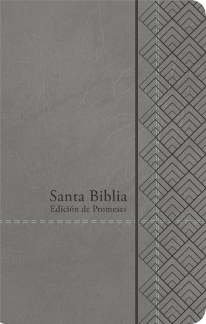 Santa Biblia de Promesas RVR-1960, Tamaño Manual / Letra Grande, Piel especial con índice, Gris