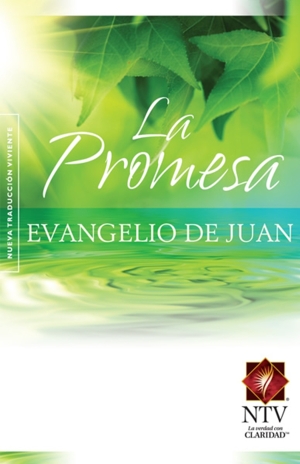 La Promesa | Evangelio de Juan 